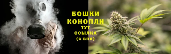 spice Абинск